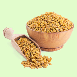 FENUGREEK%20SEED